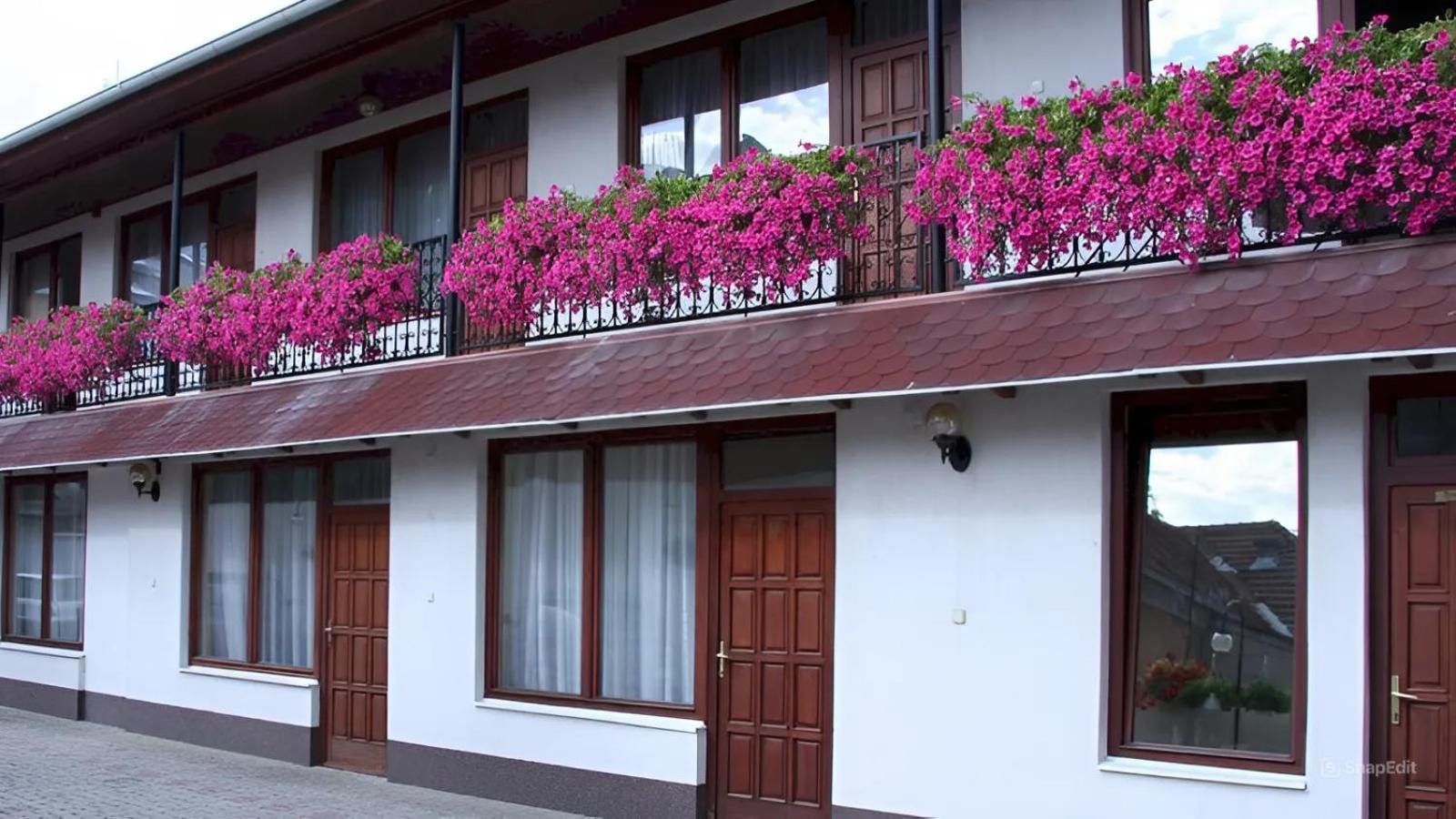 Bed and Breakfast Hegyalja Fogado Sárospatak Zewnętrze zdjęcie